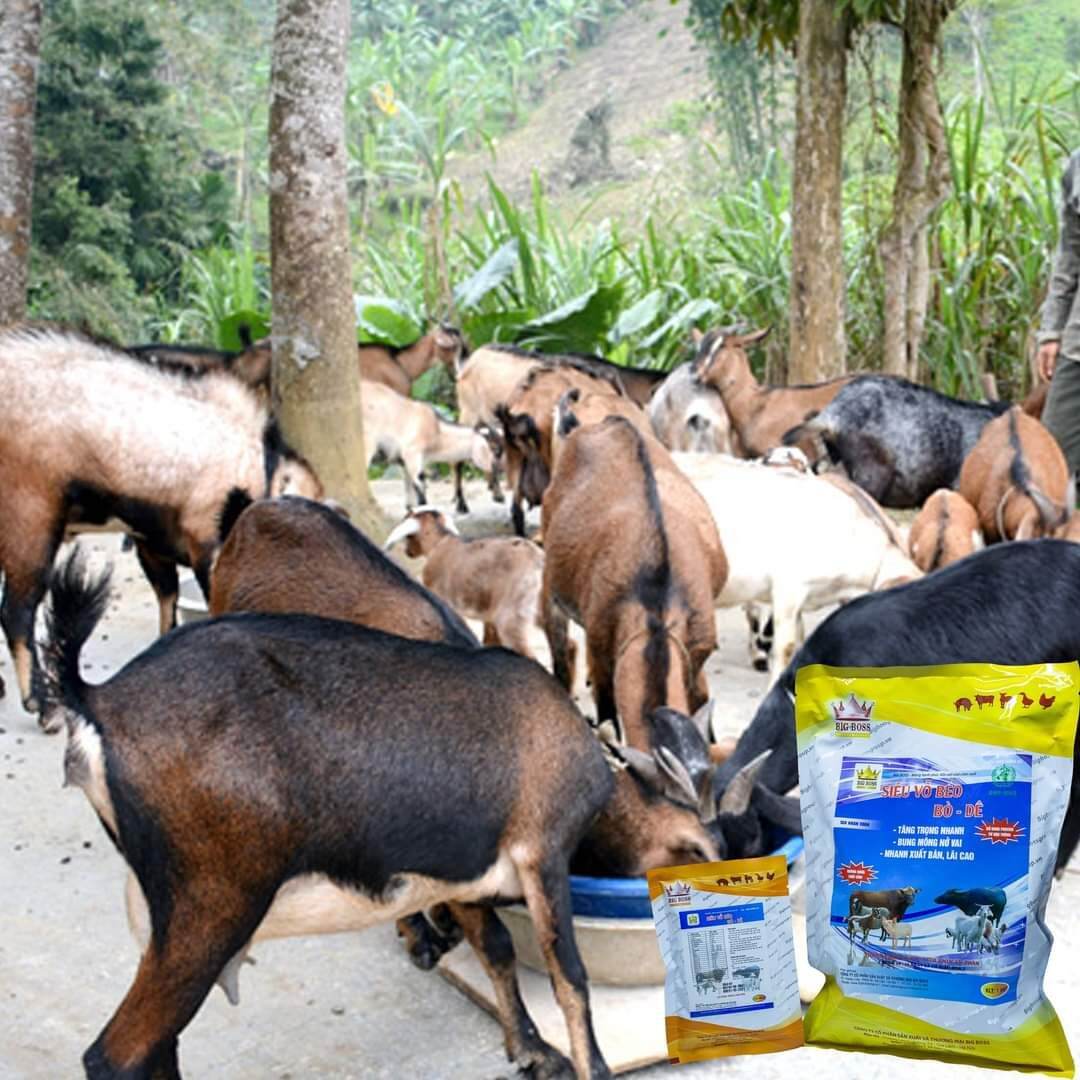 Siêu Vỗ Béo Bò - Dê (hàng chuẩn)