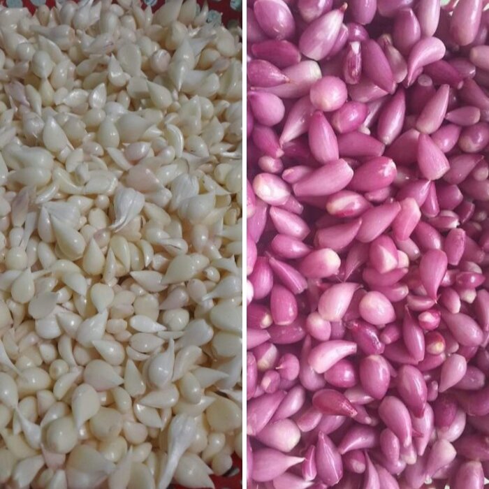Combo 1 gói 500g Tỏi Lý Sơn tép nhỏ lột sẵn hút chân không và 1 gói 500g Hành tím Lý Sơn lột sẵn hút chân không