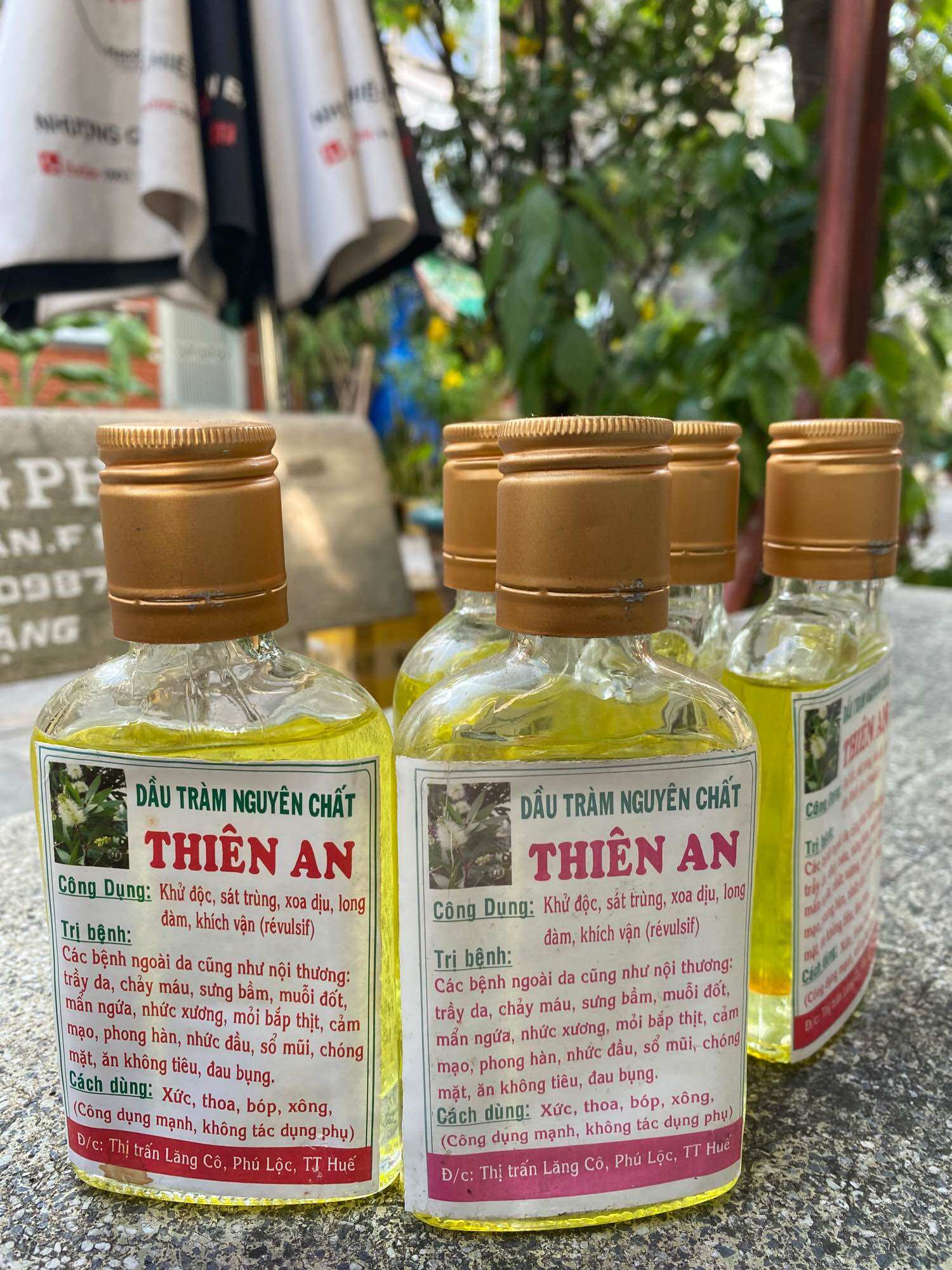 Dầu tràm huế nguyên chất Thiên An 100ml (giá gốc)
