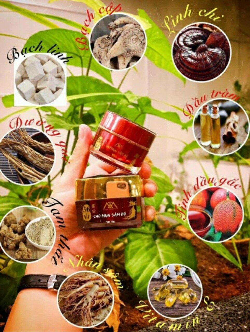 Cream cao mụn sâm đỏ, sạch mụn, mờ thâm, trắng da, se khít lỗ chân lông, 5g, 15g