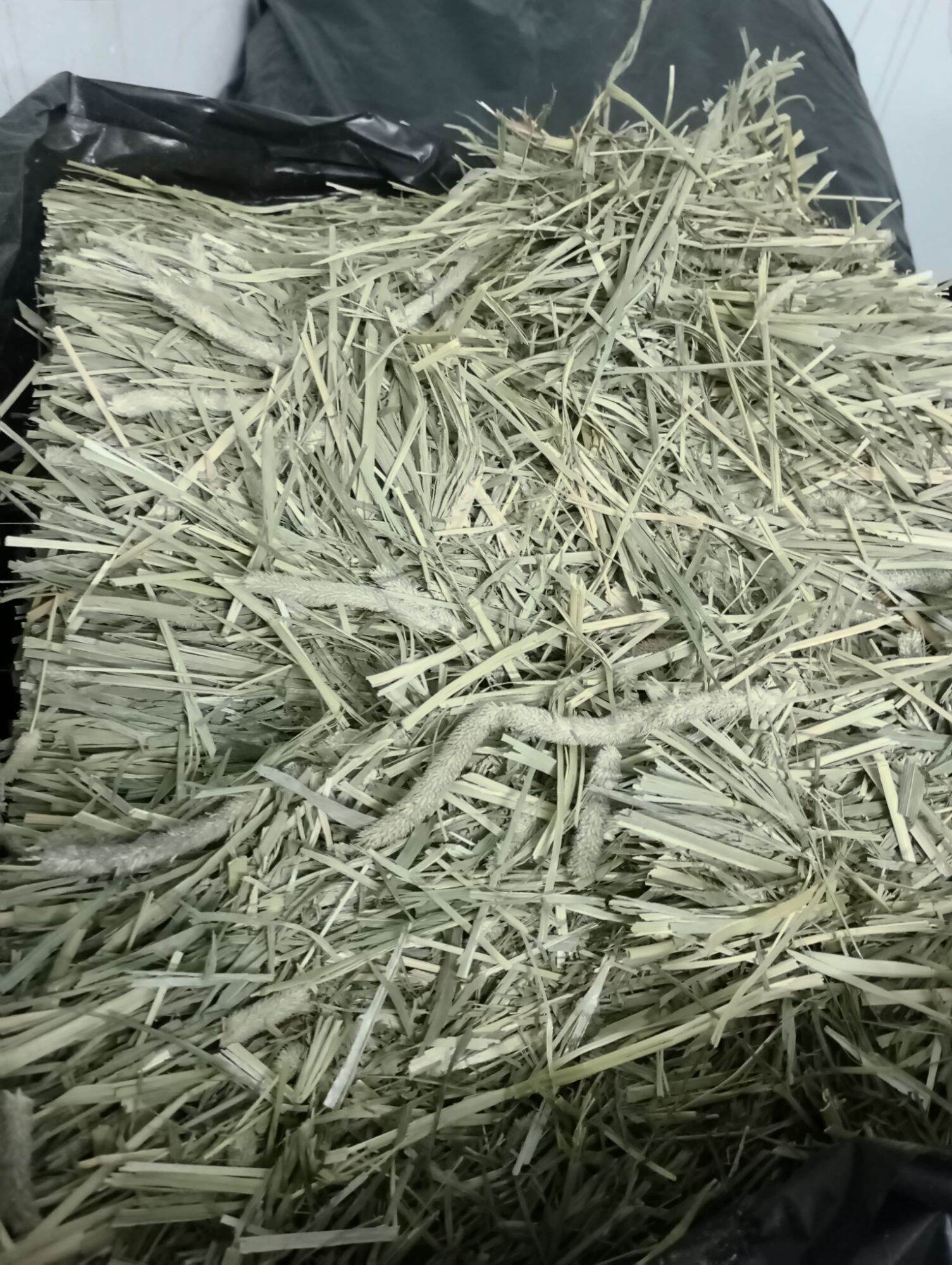 cỏ khô Timothy 1 kí