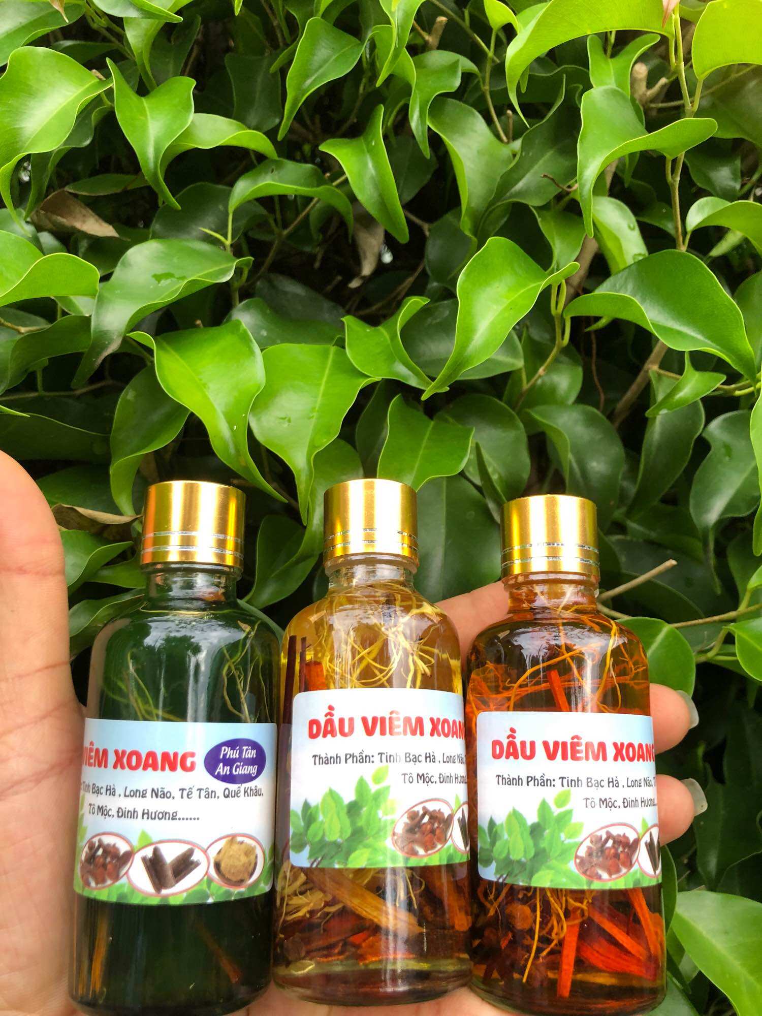 DẦU VIÊM XOANG VÀNG 50ML (RỄ THUỐC)