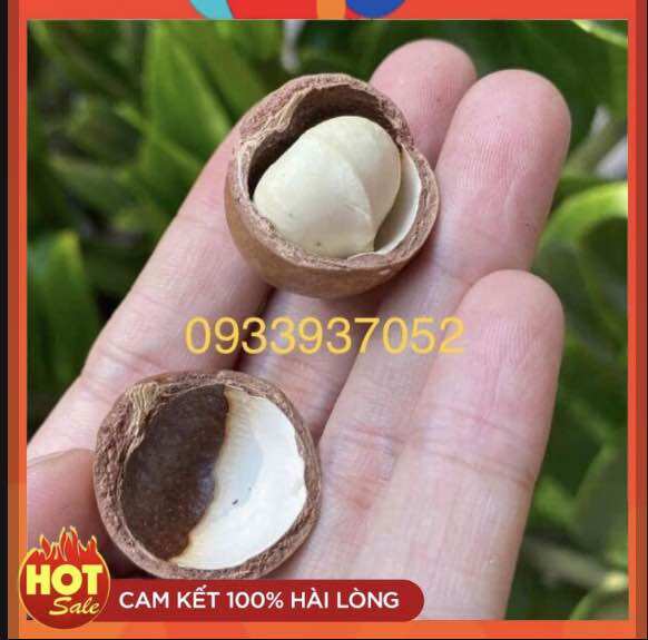 500gram hạt macca nứt vỏ - hạt dinh dưỡng