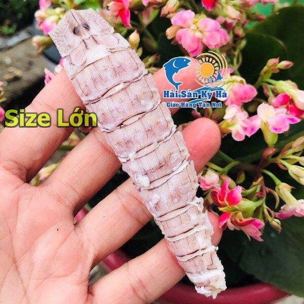 [HCM] Giá SỈ 1Kg Thịt Tôm Tít Size Lớn