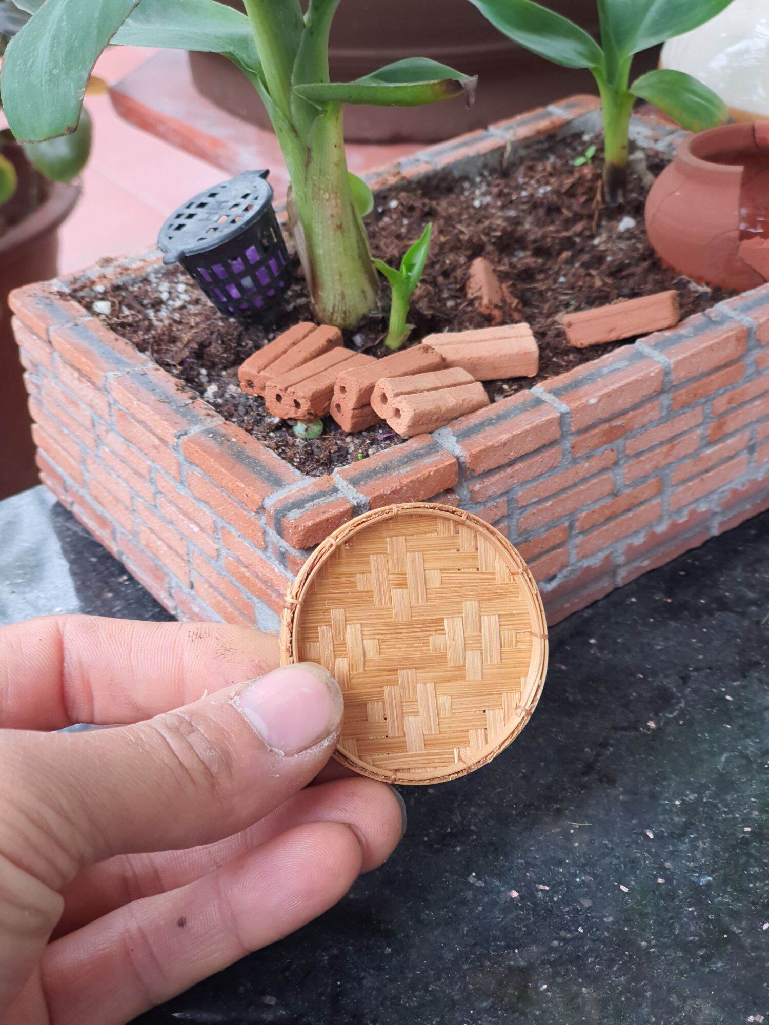 Mẹt mây tre đan mini