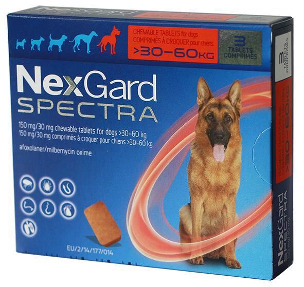 NEXGARD SPECTRA Phòng ve, bọ chét và tất cả các loại giun cho chó 30-60kg