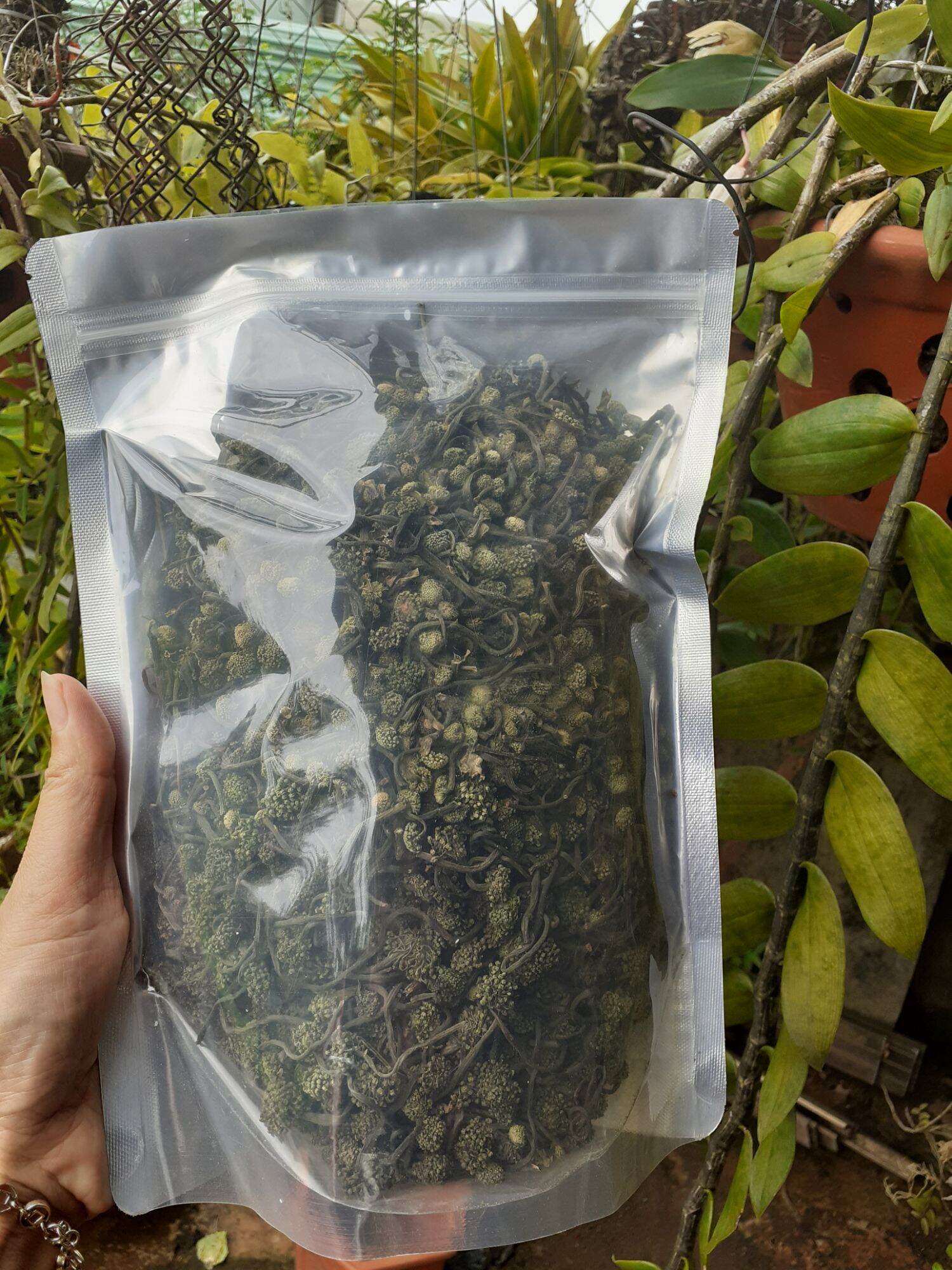Nụ tam thất sấy khô thơm phức [0,5kg - 1 kg]