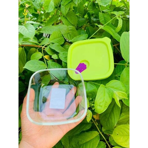 Hộp Thủy Tinh Nắp Silicon lock & lock dung tích #410ml