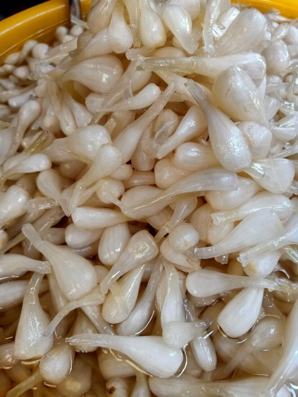 500gr Củ Kiệu Ngâm Chua Ngọt Giòn Ngon