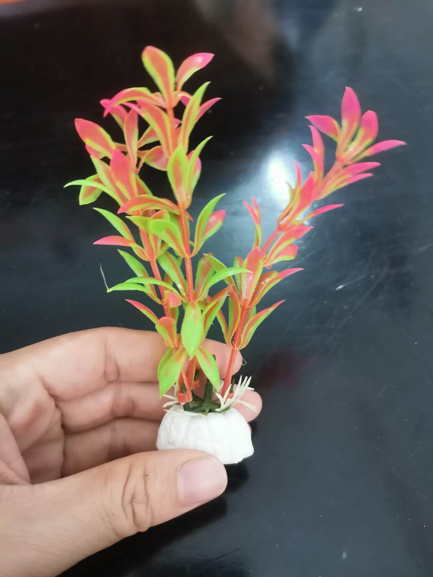 Cây nhựa mini trang trí hồ nhỏ