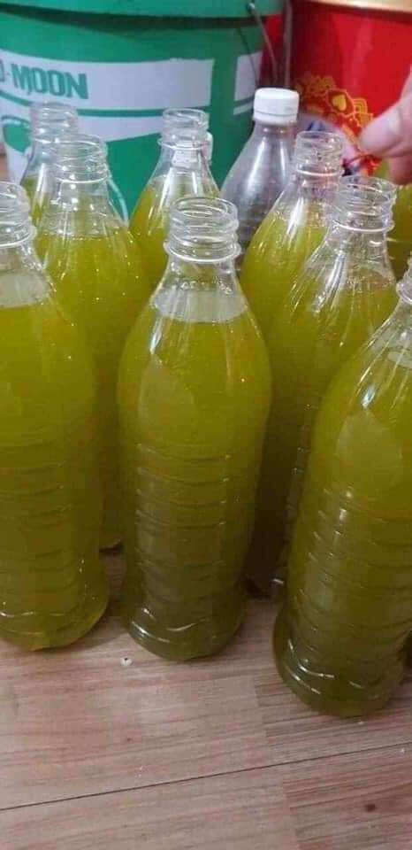 Mật ong bạc hà Hà Giang 1lít