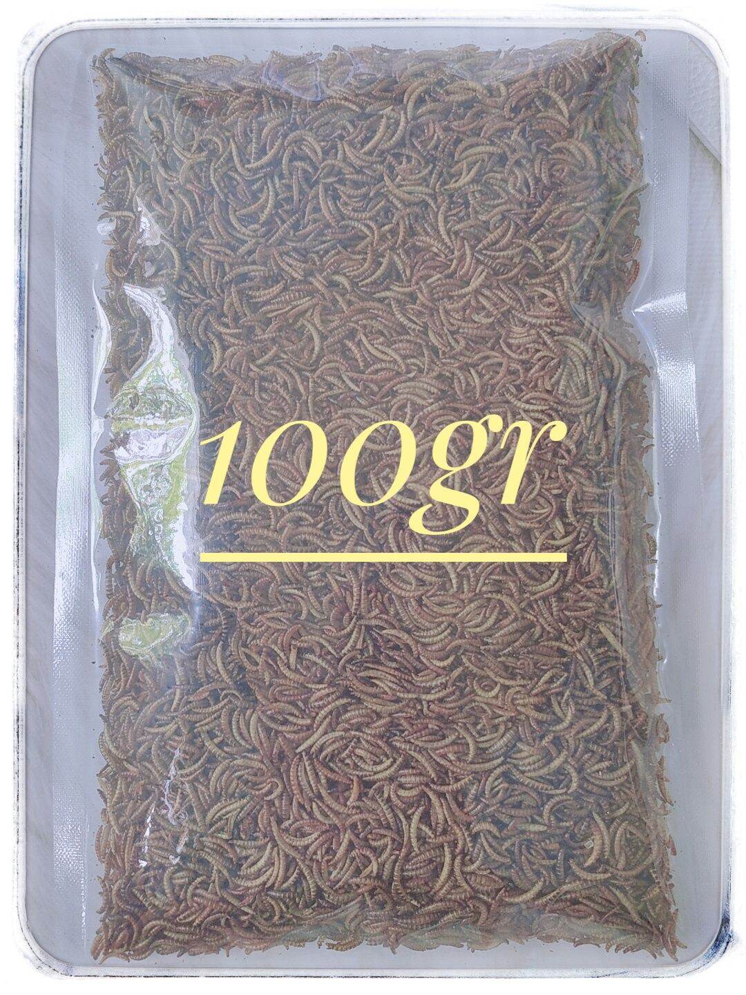 [HCM] 100GR- Sâu mini( nhỏ) sấy khô - thức ăn dành cho Hamster, sóc, chim, thú cưng