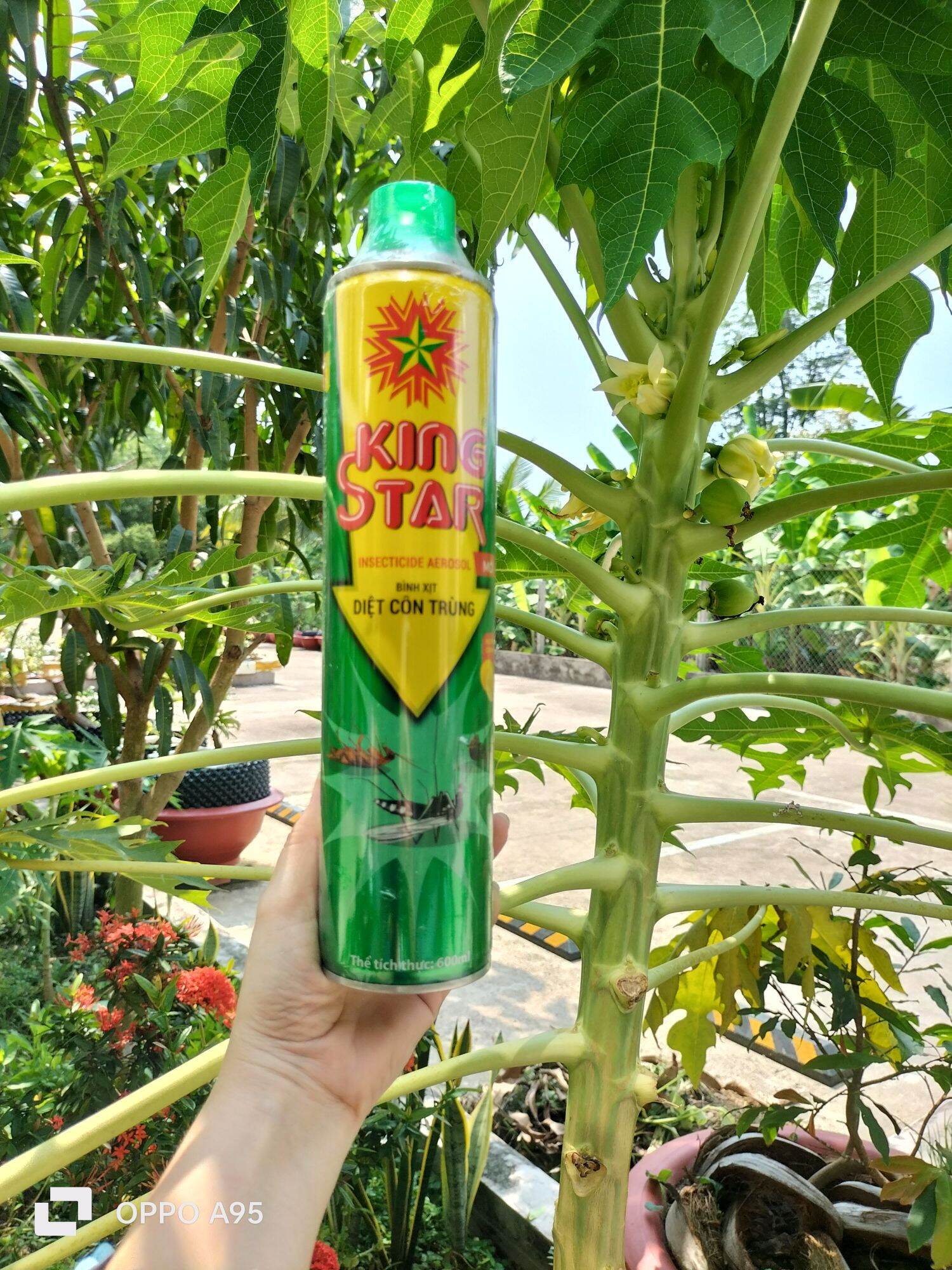 [XẢ KHO] Bình Xịt Diệt Côn Trùng Kingstar Xanh