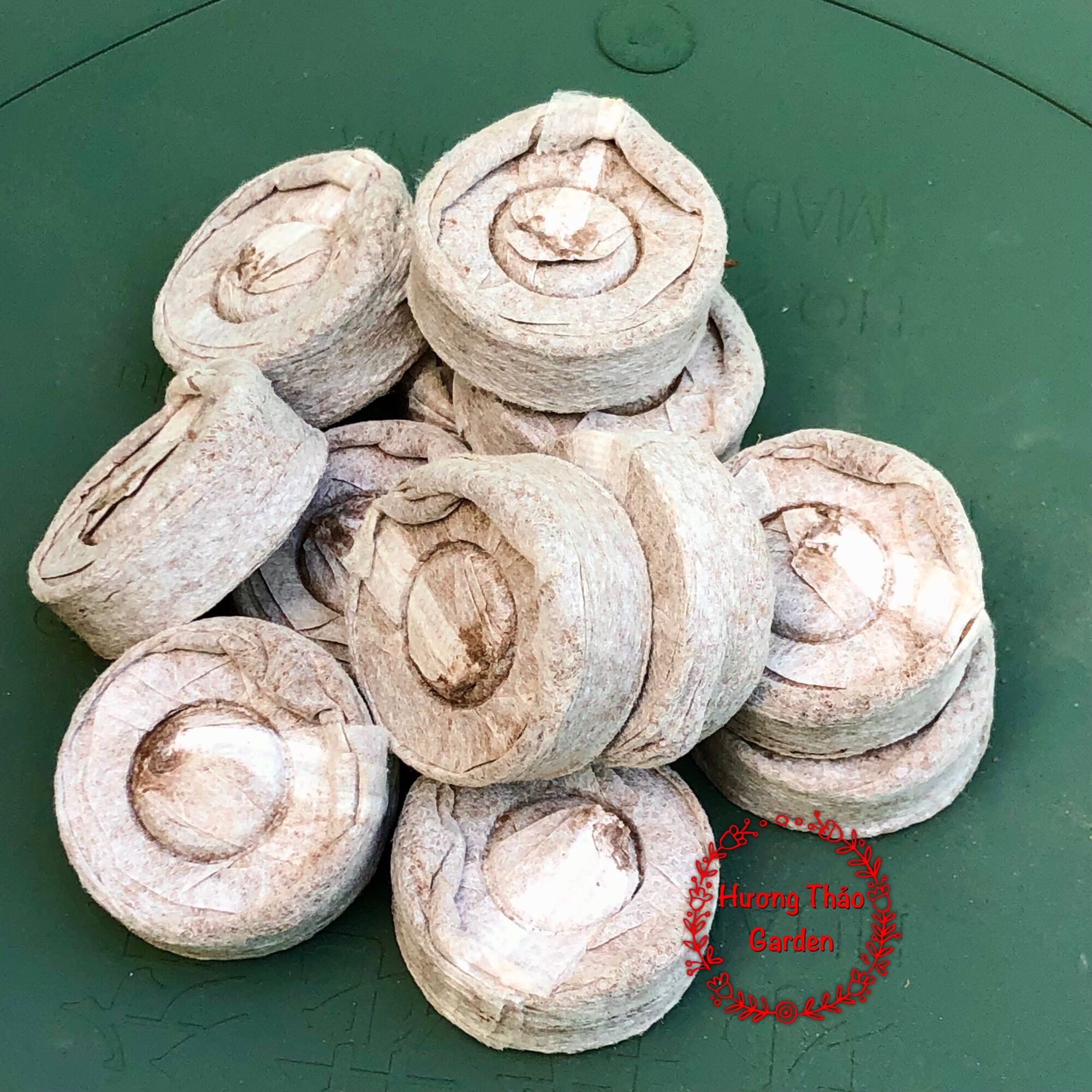 10 Viên Nén Sơ Dừa Ươm Hạt Giống