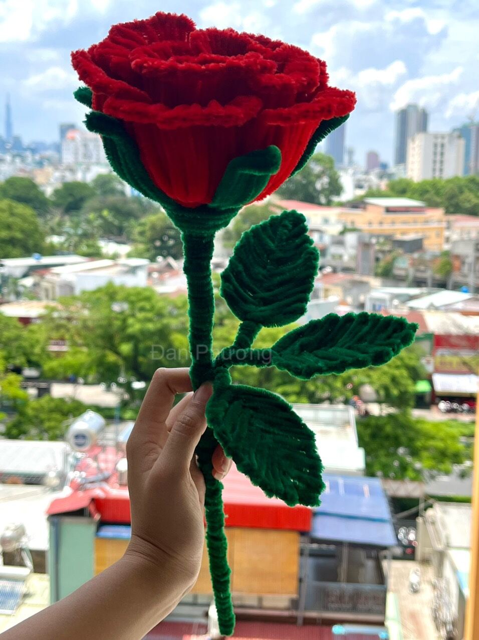 Hoa hồng khổng lồ