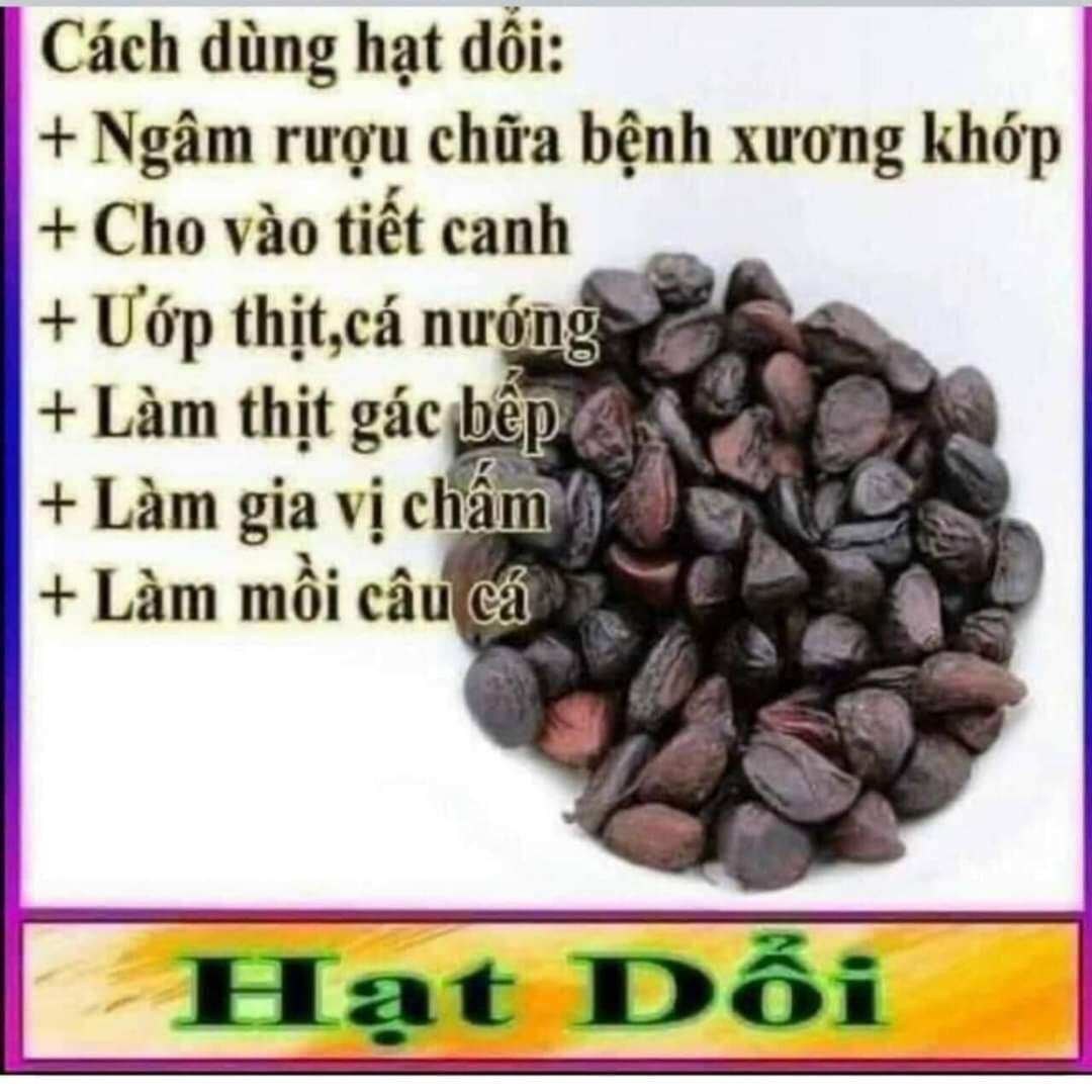 HẠT DỔI NẾP TÂY BẮC.