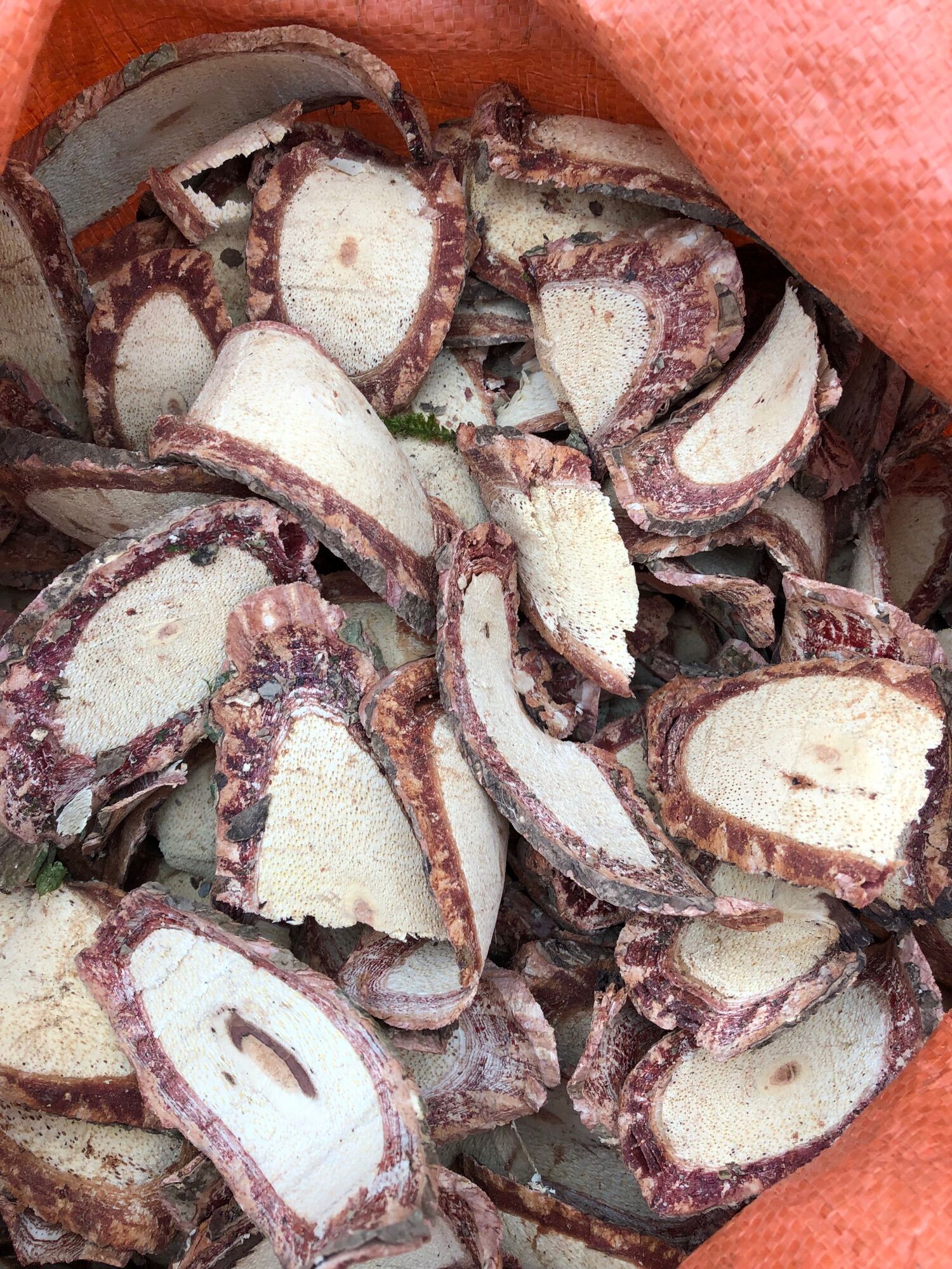 Cỏ máu tăng cân 100k/3kg