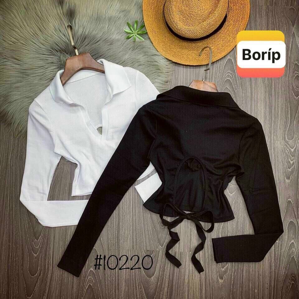 Áo croptop cổ bẻ tay dài thắt nơ sau