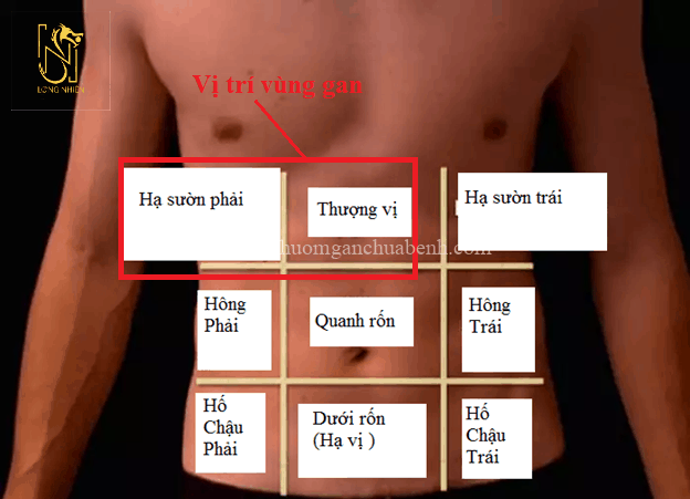 Đá Chườm Gan 1KG( Combo đầy đủ khăn +Cặp đá+Đôi baotay)