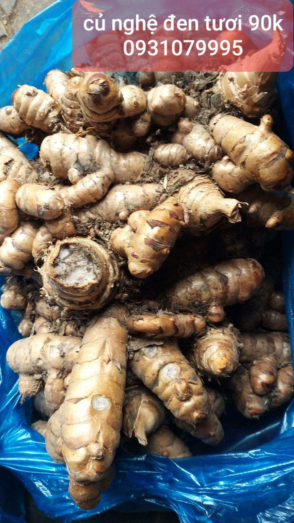 củ nghệ đen tươi 1kg