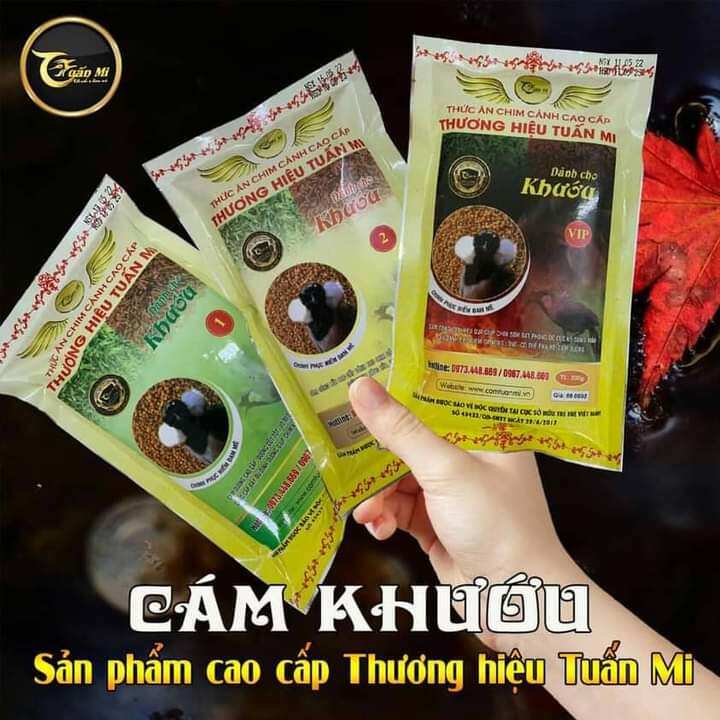 Cám Khướu số 2 ( Tuấn Mi )