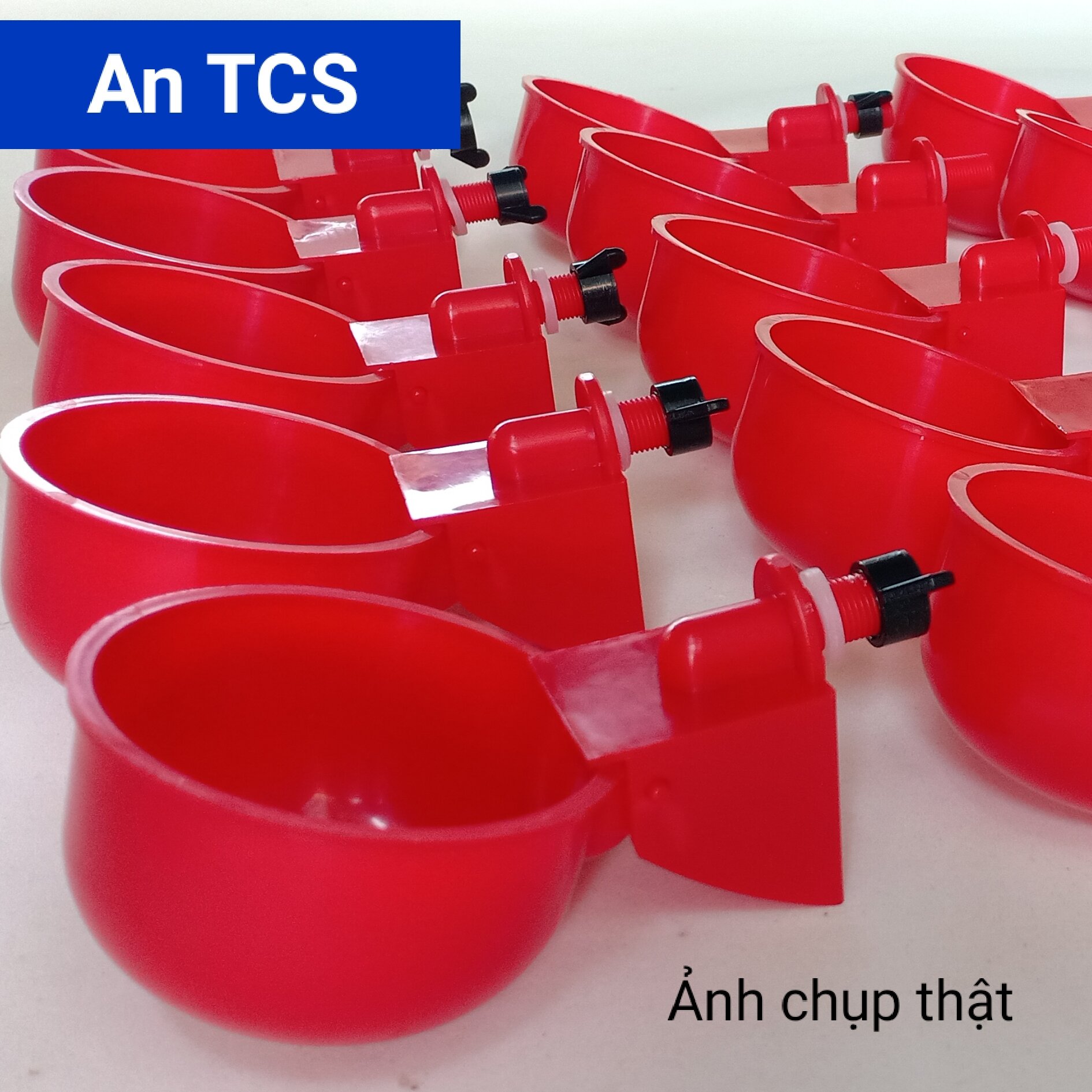 Cốc nước uống tự động cho gà vịt ngan ( An TCS )