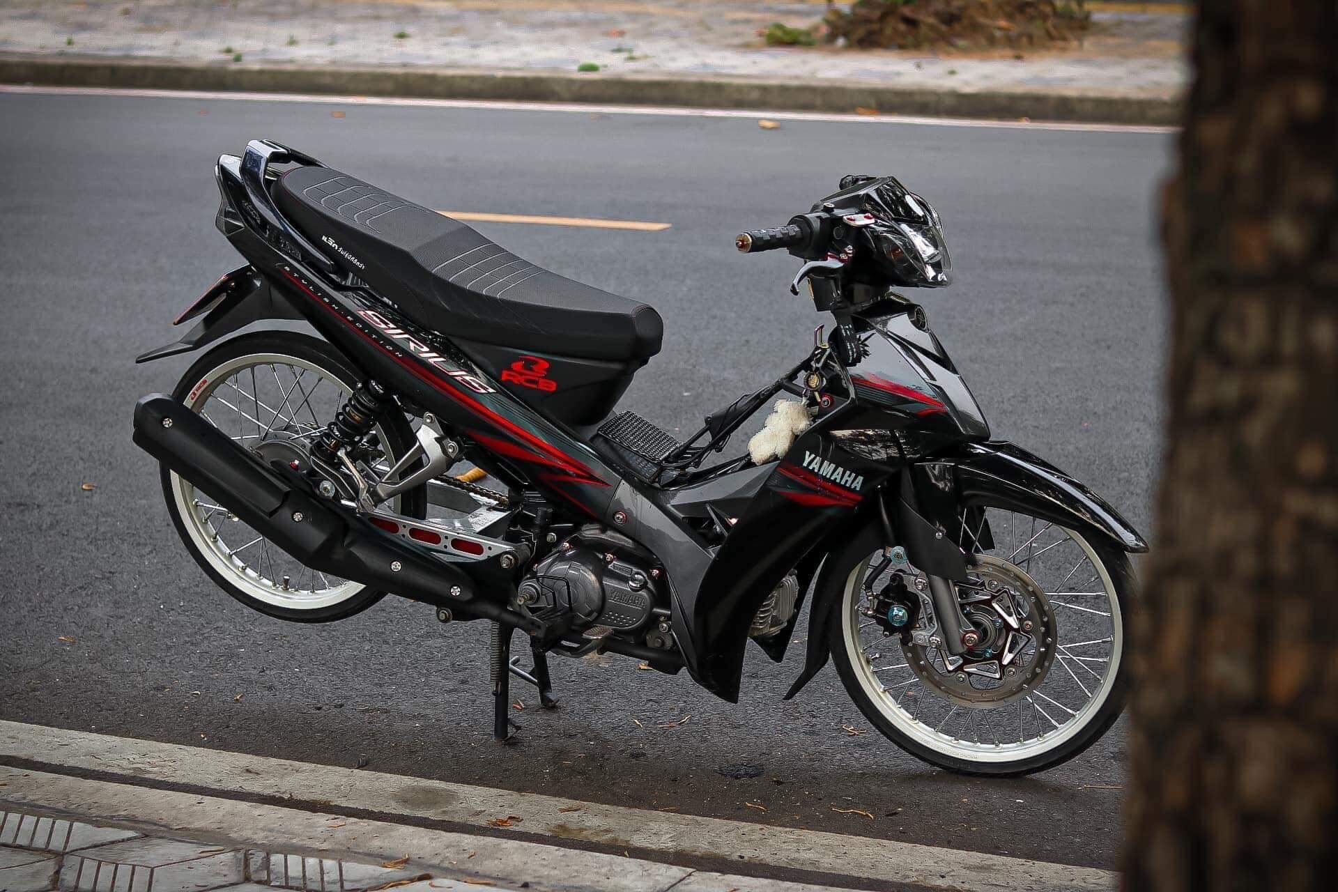 Yên sirius mút trắng fom mỏng