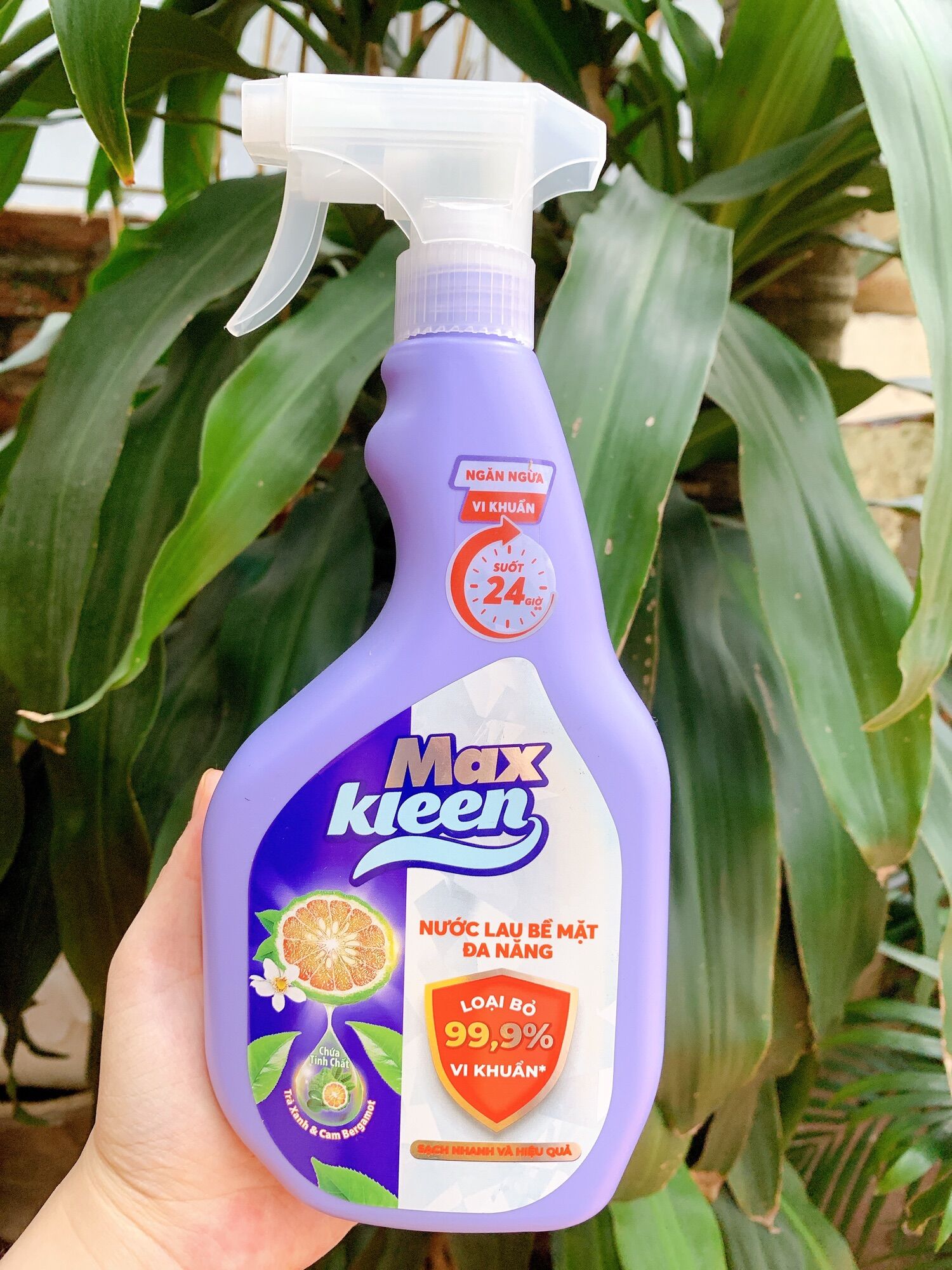 Nước Lau Bề Mặt Đa Năng MaxKleen 520ml