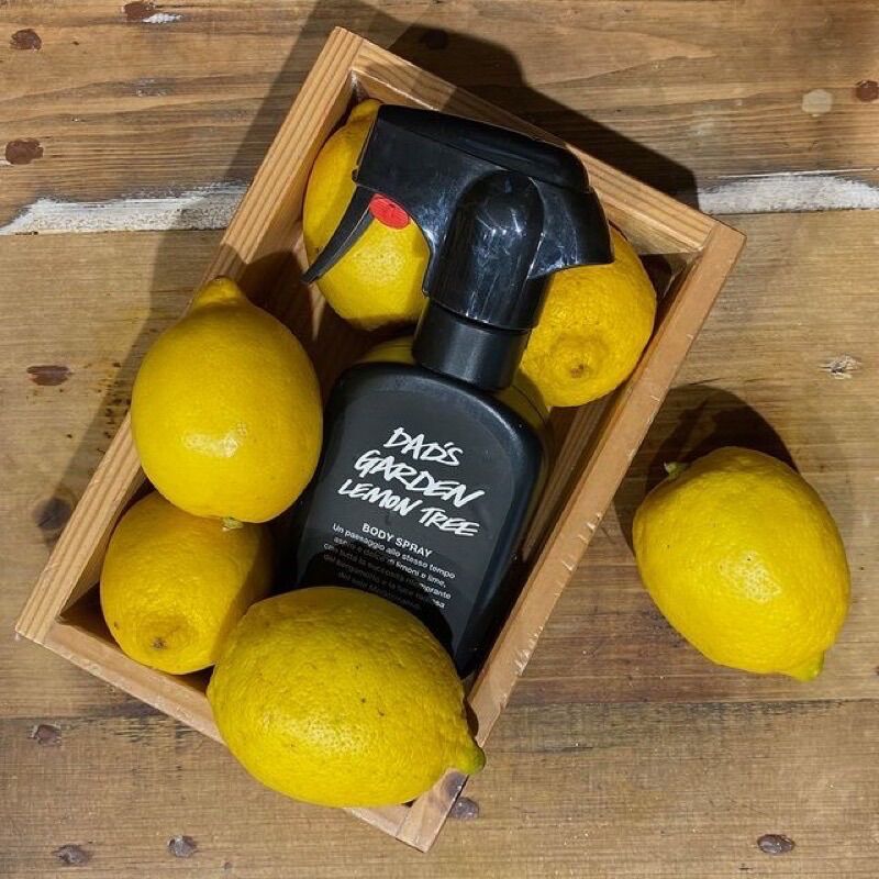 (Fullsize 200ml) Xịt toàn thân LUSH - Body spray (Dirty, Twilight, Rose jam, Sakura, Plum rain, Big…)
