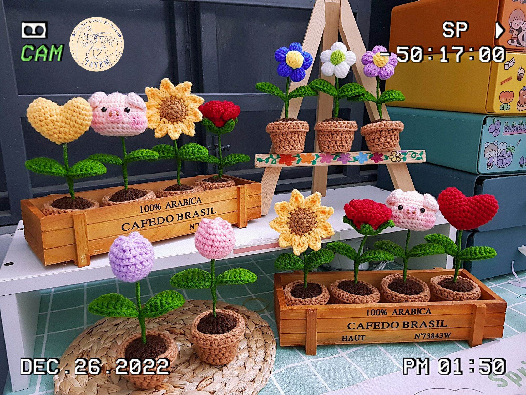 Chậu hoa mini để bàn handmade