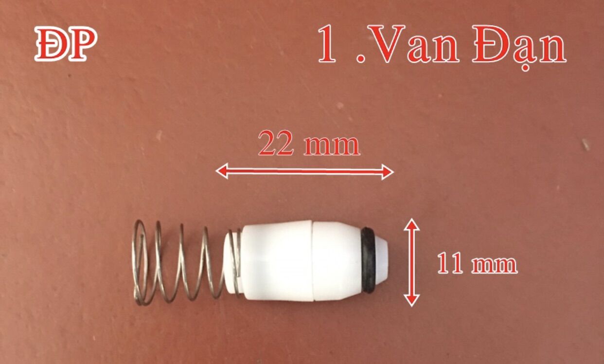 Phụ kiện máy rửa xe mini,Van 1 chiều ngõ ra lò xo rời
