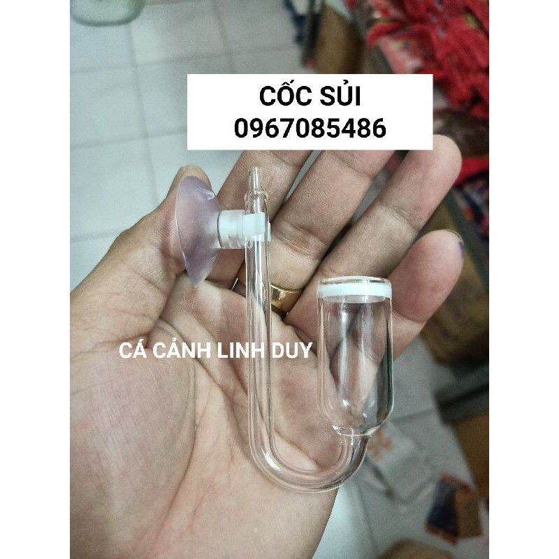 Cốc sủi co2 thủy tinh siêu đẹp