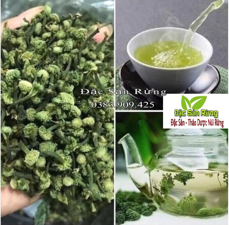 Nụ hoa tam thất loại thượng hạng