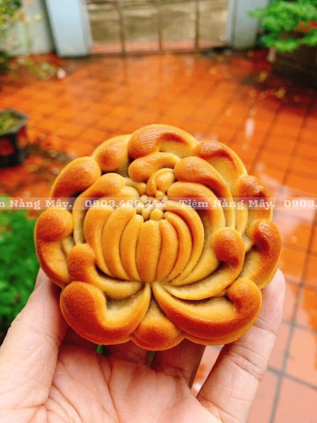 Nhân thập cẩm trung thu