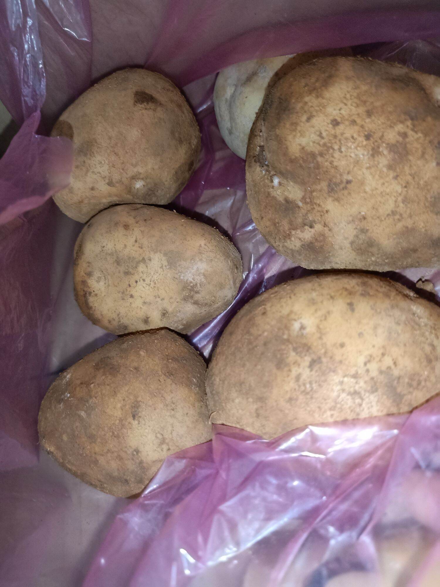 1Kg-Khoai tây tươi