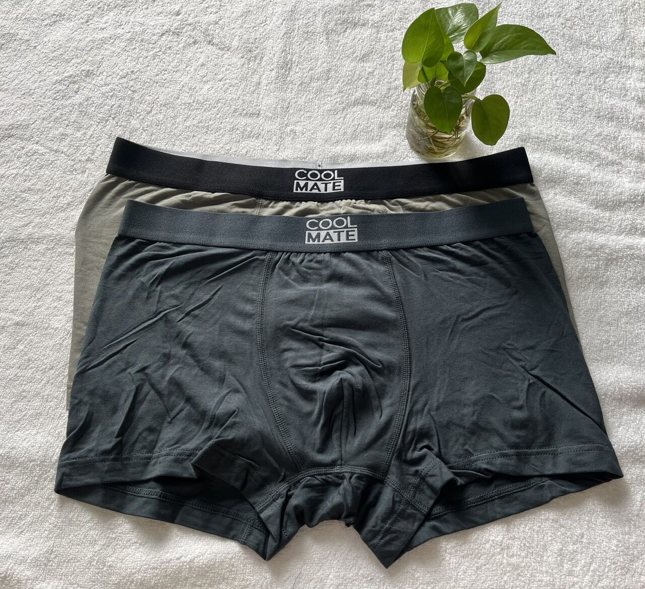 Quần lót nam kiều Trunk Bamboo 100% cotton - Coolmate