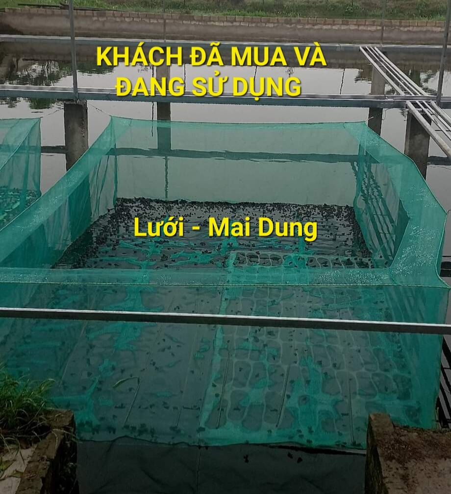 Lồng nuôi ếch, vèo lưới nuôi ốc ếch cá