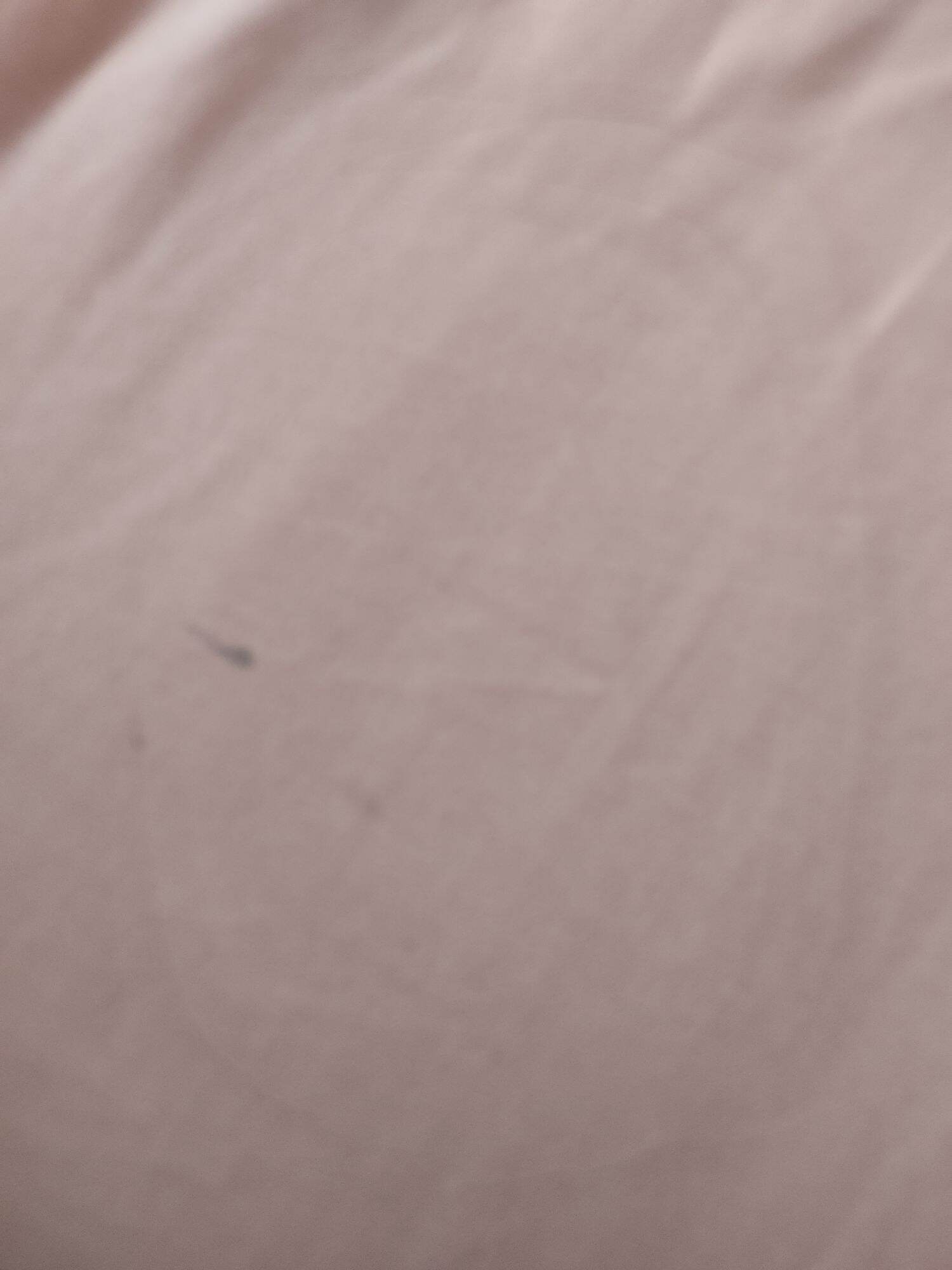 Cây massage Đầu Tiện Dụng