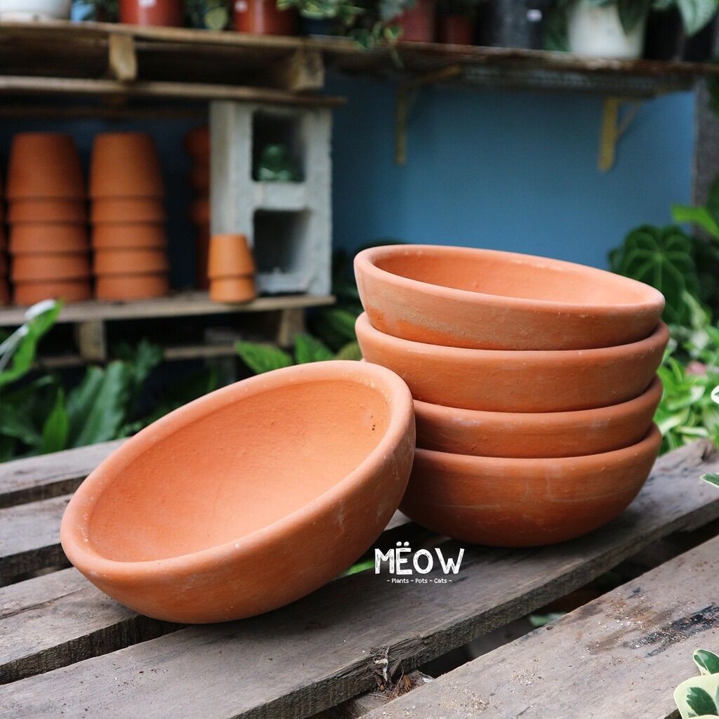 Combo 5 chậu đất nung chảo lớn 17x6cm