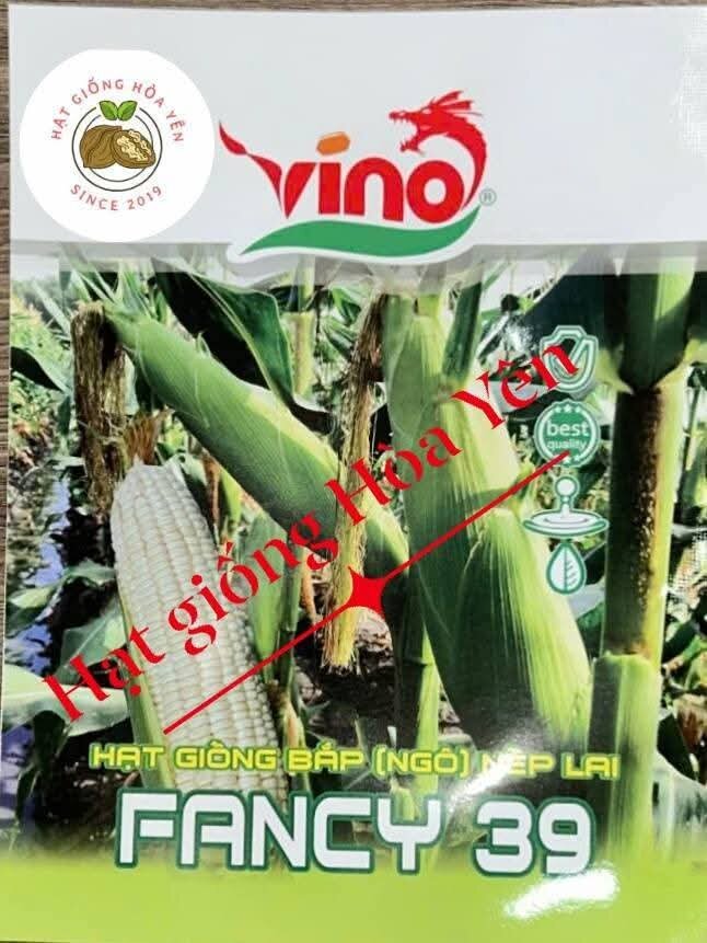 Hạt giống bắp nếp Thái Lan F1 Fancy 39 gói 500 gam