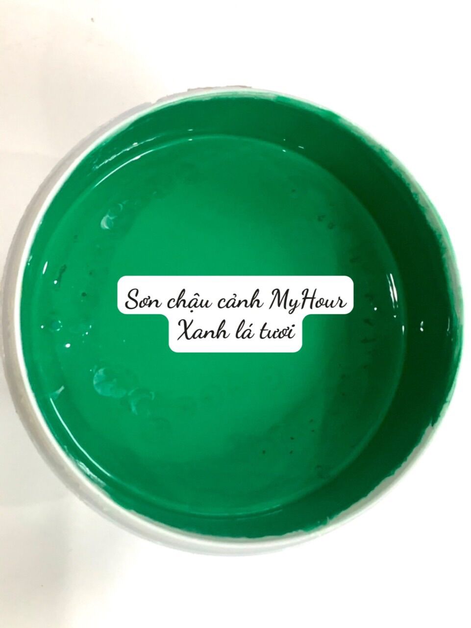 Sơn chậu cảnh màu xanh lá, Sơn Chậu Cảnh, Sơn Chậu Kiểng, Sơn Trang Trí My Hour