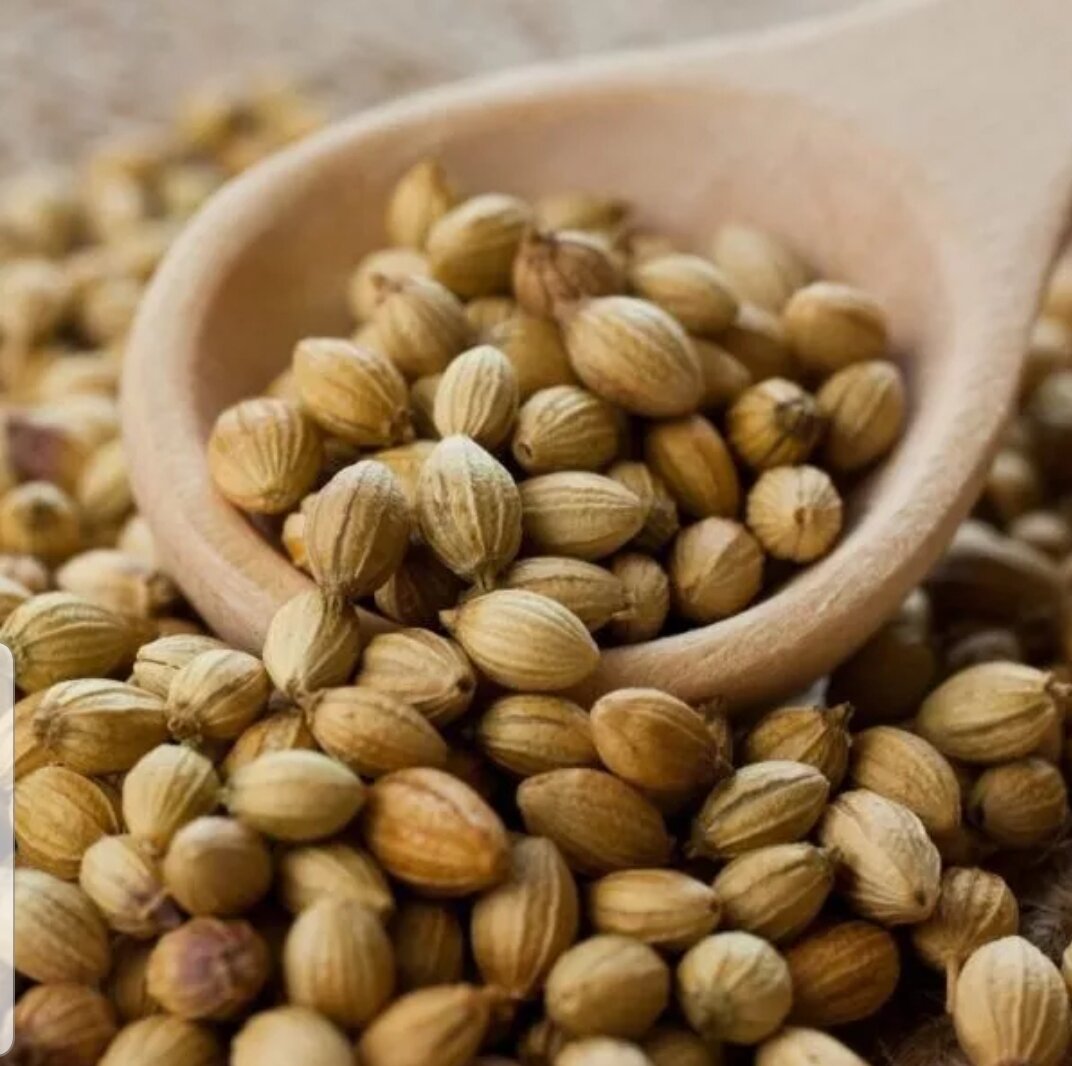 100g hạt mùi (ngò) khô loại ta giống cũ thơm