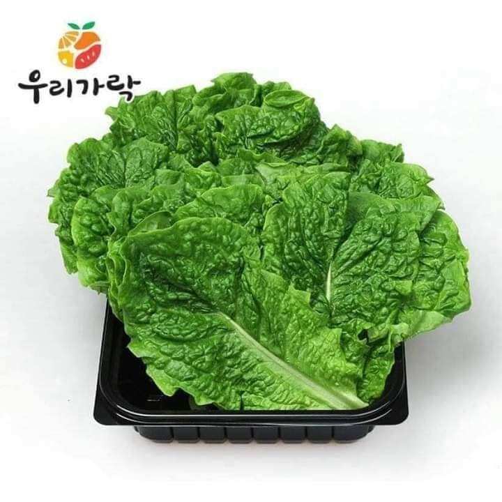 300 HẠT GIỐNG XÀ LÁCH YANGJU HÀN QUỐC ( HẠT TRẦN)