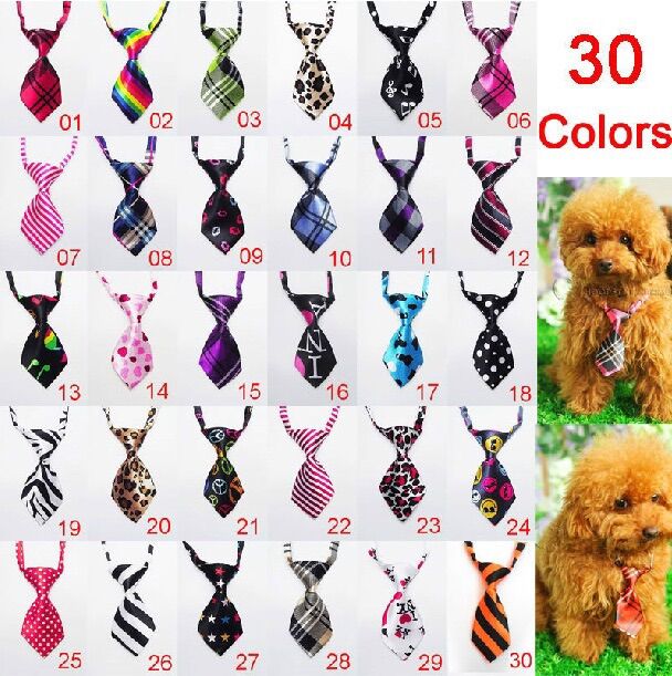 Phụ kiện thú cưng - Nơ cổ cavat cho chó mèo sành điệu - Channsusu Pet Shop