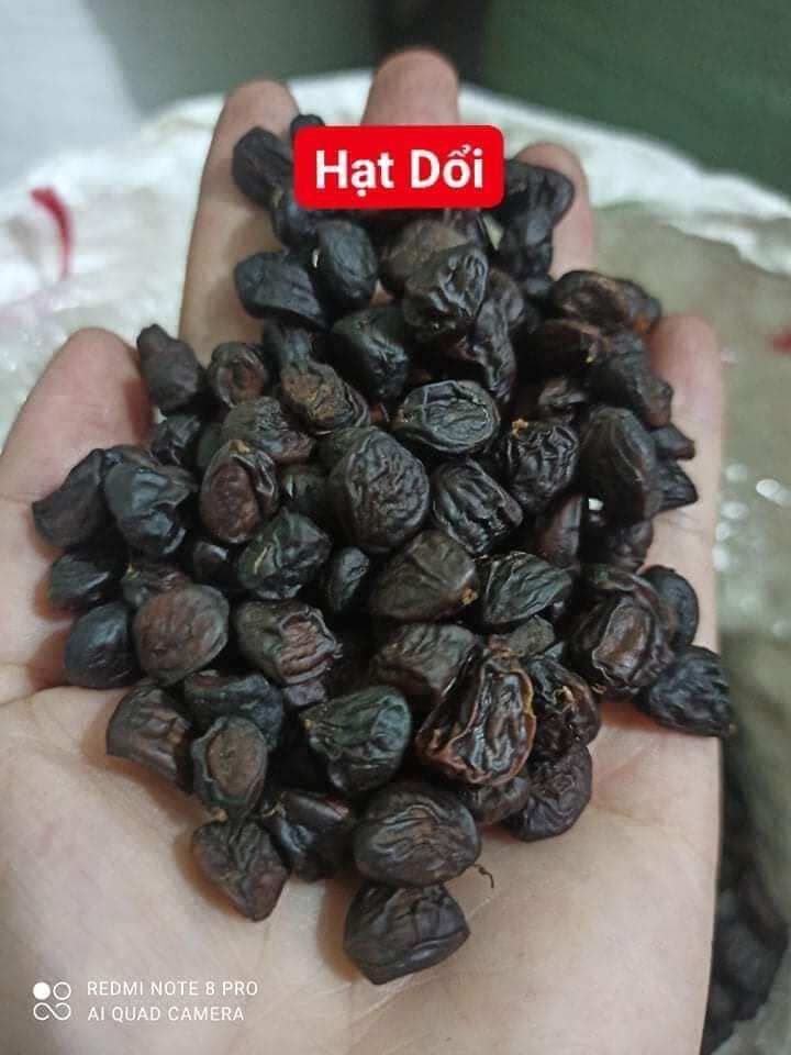 Hạt dổi 100g
