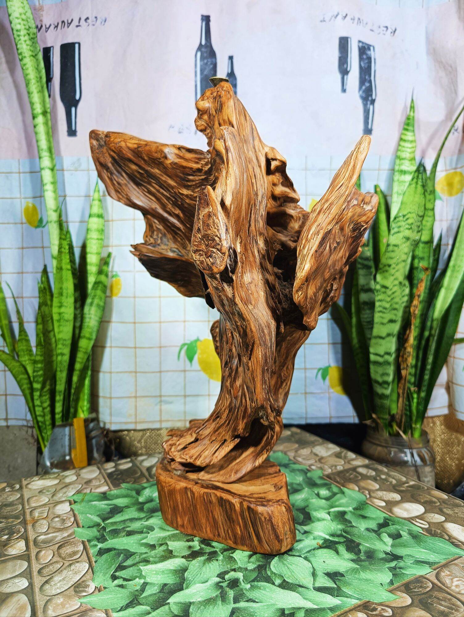 lũa gỗ thơm ngọc am đỏ hà giang