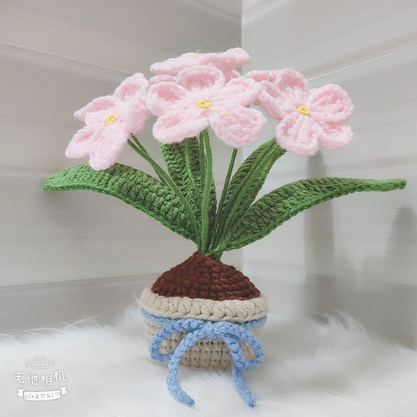 [Ảnh thật - Có sẵn] Chậu hoa lưu ly để bàn bằng len handmade
