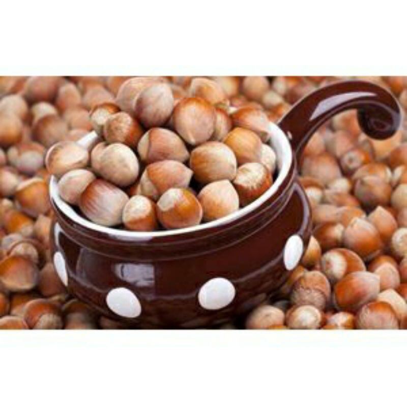 Nhân hạt phỉ chuẩn Mỹ còn sống 200g, 500gram ( hazelnut)