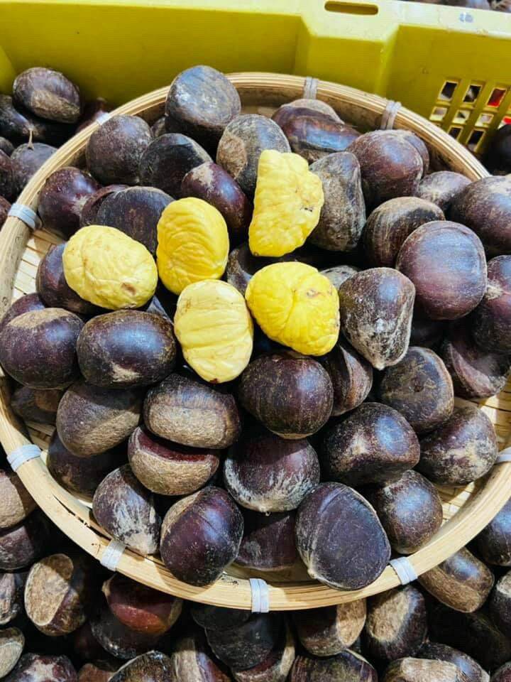 Hạt dẻ còn sống khách về tự nấu 1kg