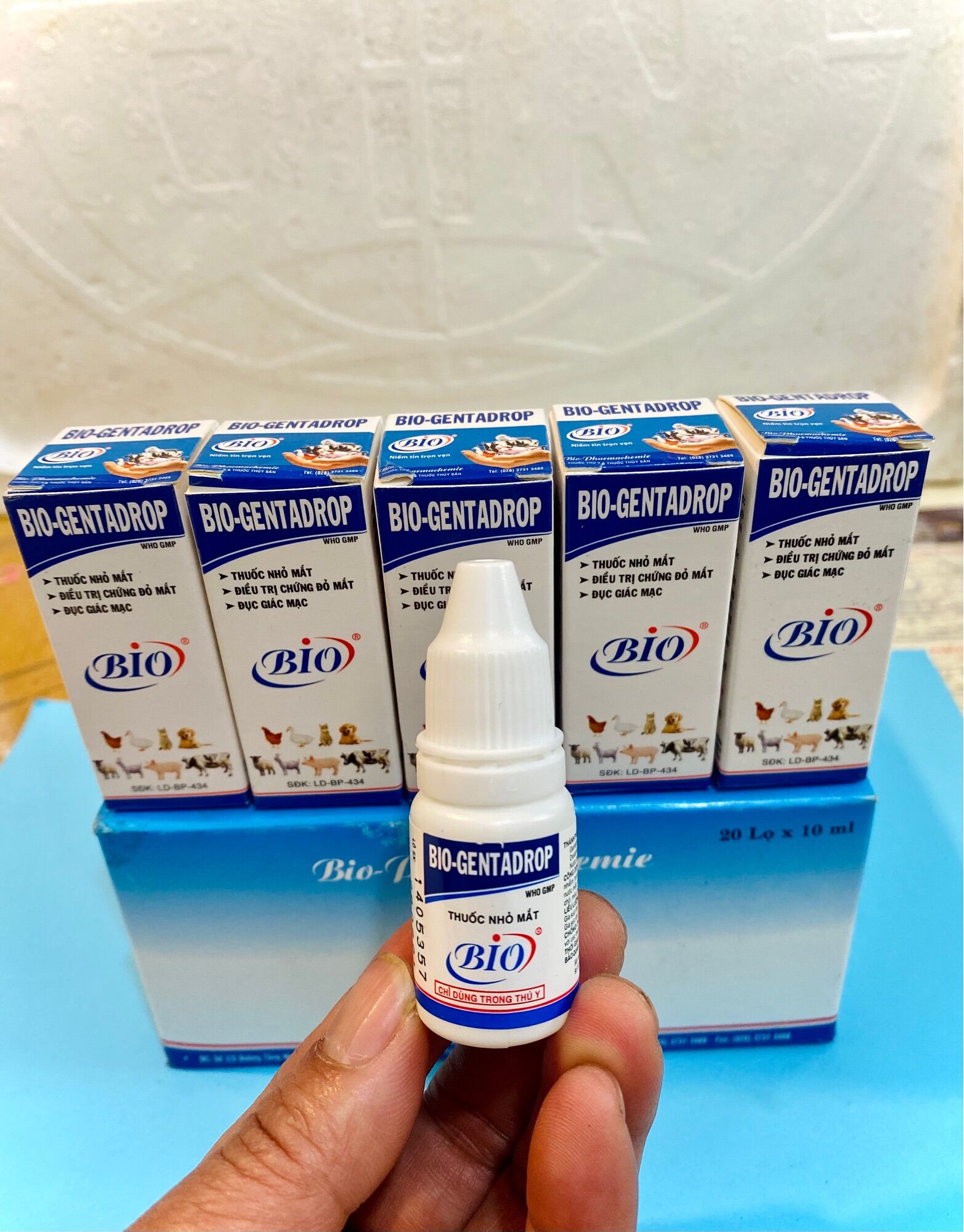 Bio Gentadrop(10ml) Gà đá, gà kiểng, thú cảnh có bọt mắt, sùi bọt, đau mắt dùng trong Thú Y
